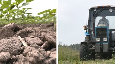 "Ціна ще смішна": назвали попередню вартість черкаських земель "Ціна ще смішна": назвали попередню вартість черкаських земель