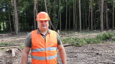 Лісництва Тернопільщини заготовляють дрова для підприємств та жителів громад Лісництва Тернопільщини заготовляють дрова для підприємств та жителів громад