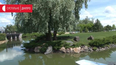 Працівники дніпровського яхт-клубу «Січ» знайшли на своїй території трьох мертвих цесарок Працівники дніпровського яхт-клубу «Січ» знайшли на своїй території трьох мертвих цесарок