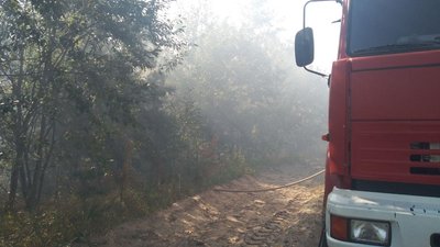 На Сумщині рятувальники та лісівники 2,5 години гасили лісову пожежу На Сумщині рятувальники та лісівники 2,5 години гасили лісову пожежу