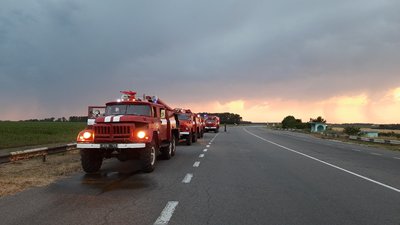 Полтавські рятувальники гасять лісову пожежу на Луганщині
