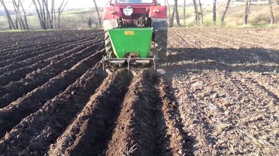 На Хмельниччині чиновники місцевої ради висадили «картопляні» «Сади перемоги»