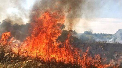 На Житомирщині за добу тричі горіла суха трава – вогнем знищено 6 гектарів сухостою