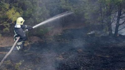Вигоріли 29 гектарів сухостою: за добу волинські рятувальники ліквідували дев'ять пожеж Вигоріли 29 гектарів сухостою: за добу волинські рятувальники ліквідували дев'ять пожеж
