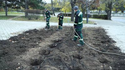 Подарунок від Одеси. У Миколаєві почали висаджувати 500 кущів троянд Подарунок від Одеси. У Миколаєві почали висаджувати 500 кущів троянд
