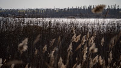 Каховська ГЕС, Каховське водосховище, Великий Луг, екологи, природа