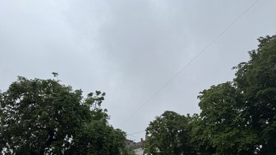 хмари, дерева, небо
