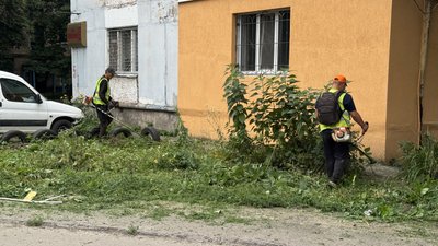 Покіс трави у Полтаві