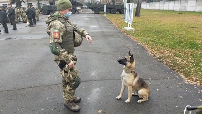 У Сумах кінологи влаштували показові виступи на плацу 27 артбригади