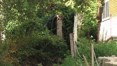 У Житомирі комісія облради постановила відновити паркан між спецшколою та багатоповерхівкою У Житомирі комісія облради постановила відновити паркан між спецшколою та багатоповерхівкою