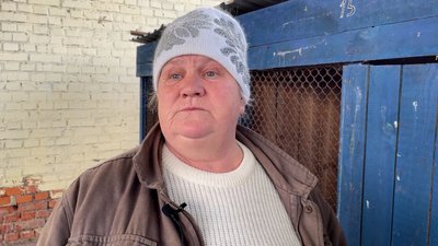 У Прилуках 37 собак, які проживають у притулку, можуть залишитися без догляду: в чому причина та чи є вихід з ситуації У Прилуках 37 собак, які проживають у притулку, можуть залишитися без догляду: в чому причина та чи є вихід з ситуації
