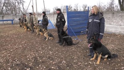 Службових собак у Кропивницькому вчили шукати наркотики та ловити порушників