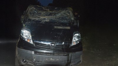 Opel Vivaro ДТП на Волині. аварія у Володимирському районі