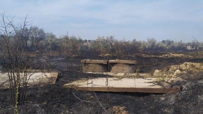 В Одеській області поблизу готельного комплексу зайнялось 4 тисячі кв. м. сухої трави та очерету В Одеській області поблизу готельного комплексу зайнялось 4 тисячі кв. м. сухої трави та очерету
