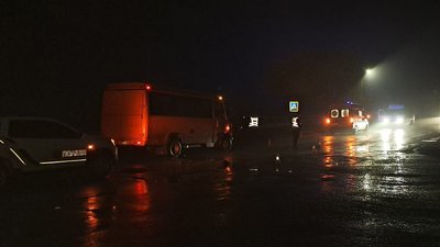 Житомир, ДТП, Малин, смерть, жінка, автобус, поліція