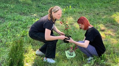 Випускники однієї з гімназій Житомирщини замінили випускний бал висадкою дерев у парку Випускники однієї з гімназій Житомирщини замінили випускний бал висадкою дерев у парку