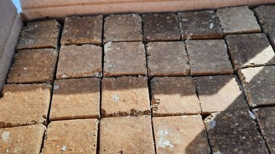 На Кіровоградщині з літака розкидали 40 тисяч доз приманок з вакциною від сказу На Кіровоградщині з літака розкидали 40 тисяч доз приманок з вакциною від сказу