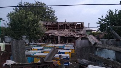 Війна та мед: особливості бджолярства поблизу лінії фронту на Запоріжжі