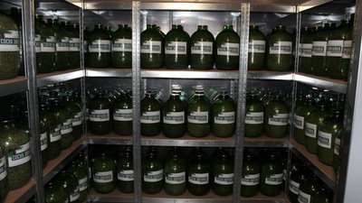 На Житомирщині у Білківському лісництві відкрили перше в області спеціалізоване насіннєсховище