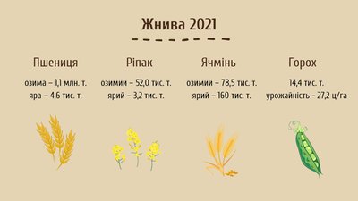 жнива жнива