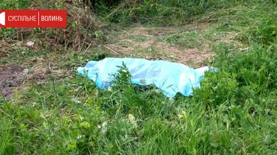 На автодорозі під Луцьком загинув 33-річний водій На автодорозі під Луцьком загинув 33-річний водій