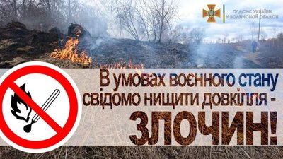 Рятувальники Житомирщини нагадують про відповідальність за підпал сухостою