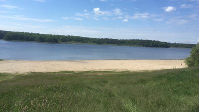 На Житомирщині дослідили якість води у місцях для купання – половина проб не відповідає нормам На Житомирщині дослідили якість води у місцях для купання – половина проб не відповідає нормам