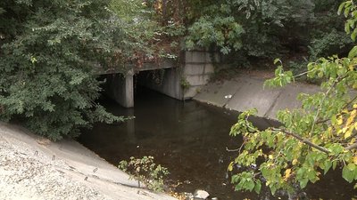 "Запоріжці відчують на собі погіршення якості повітря і води", - експертка про стан Сухої Московки "Запоріжці відчують на собі погіршення якості повітря і води", - експертка про стан Сухої Московки