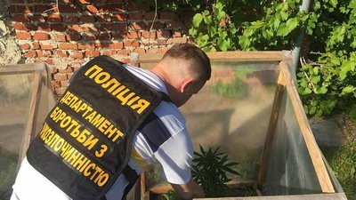 Правоохоронці затримали тернополянина, який вирощував та зберігав марихуану