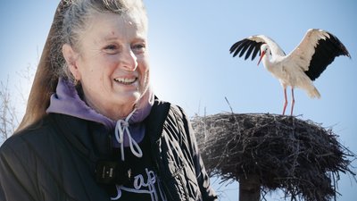 "Лелека виживе, Україна вистоїть": як птаху на ім'я Буся допомагали пережити зиму жительки селища на Рівненщині