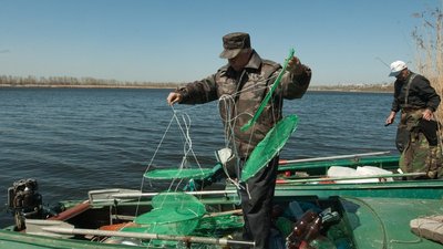 На Кіровоградщині заборонили з 1 листопада ловити рибу та раків у зимувальних ямах