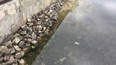 "Вода для Левандівського озера": львів'яни влаштували екоакцію "Вода для Левандівського озера": львів'яни влаштували екоакцію