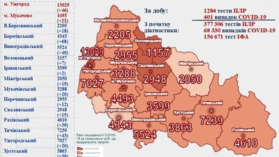 На Закарпатті за добу виявили понад 400 випадків COVID-19 На Закарпатті за добу виявили понад 400 випадків COVID-19
