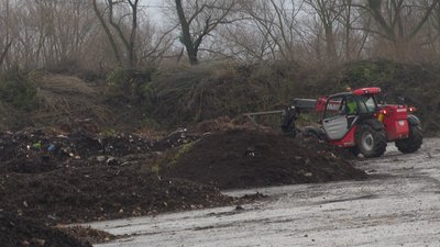 Утилізація ялинок в ЛКП "Зелене місто", 4 січня 2024. Утилізація ялинок в ЛКП "Зелене місто", 4 січня 2024.