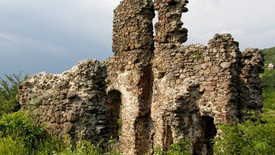 Чотири замки Закарпаття отримали власника — це врятує їх від руйнації