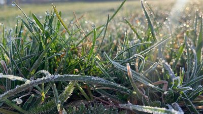 Заморозки на ґрунті у Хмельницькій області, 6 квітня 2026 року