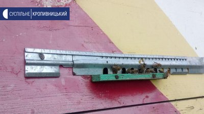 У селі Вербівка Кіровоградської області загинули більше двох мільйонів бджіл У селі Вербівка Кіровоградської області загинули більше двох мільйонів бджіл