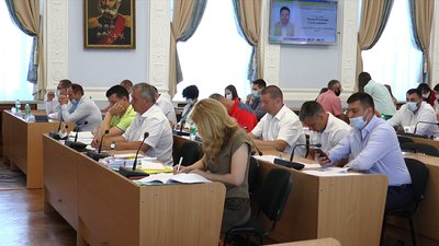 Миколаївські депутати прийняли програму щодо поводження з безпритульними тваринами