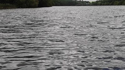 вода, ставок, річка