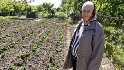 "Вона все одно примерзла": як заморозки на Полтавщині вплинули на розсаду "Вона все одно примерзла": як заморозки на Полтавщині вплинули на розсаду
