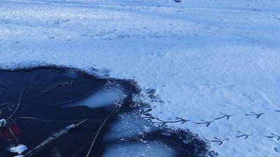 водойма, лід, крига