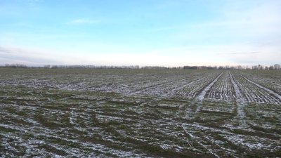 Близько пів мільйона гектарів сільськогосподарських земель на Харківщині заміновані — ОДА Близько пів мільйона гектарів сільськогосподарських земель на Харківщині заміновані — ОДА