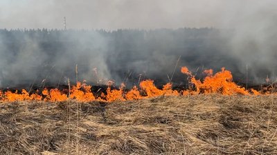 Біля Затуринського кладовища на Полтавщині сталася пожежа Біля Затуринського кладовища на Полтавщині сталася пожежа
