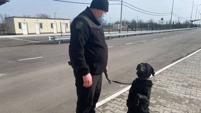 На службі у прикордонників. На Херсонщині на КПВВ "Каланчак" собаки шукають наркотичні речовини На службі у прикордонників. На Херсонщині на КПВВ "Каланчак" собаки шукають наркотичні речовини