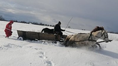 На Житомирщині дівчину через замети везли до лікарні кіньми, пожежним авто та машиною швидкої На Житомирщині дівчину через замети везли до лікарні кіньми, пожежним авто та машиною швидкої