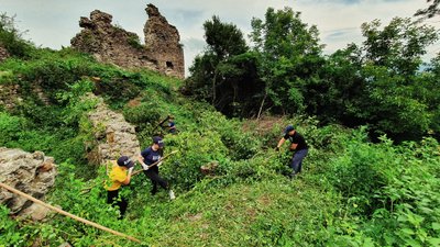 Територію Королевського замку прибрали 50 волонтерів