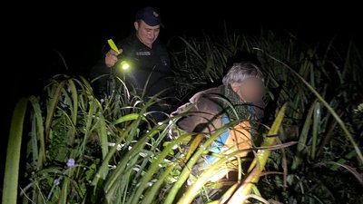 Збирання грибів на Волині — у лісі заблукала пенсіонерка