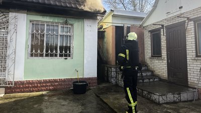 Не міг самостійно вибратись із задимленого приміщення: на Черкащині з пожежі врятували собаку Не міг самостійно вибратись із задимленого приміщення: на Черкащині з пожежі врятували собаку