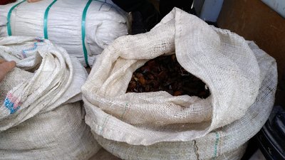 На Волині вилучили партію бурштину на півмільйона гривень