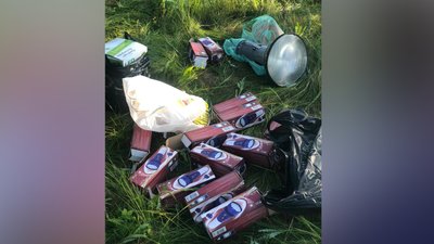 На Житомирщині прикордонники затримали літак, який незаконно злетів з Румунії На Житомирщині прикордонники затримали літак, який незаконно злетів з Румунії